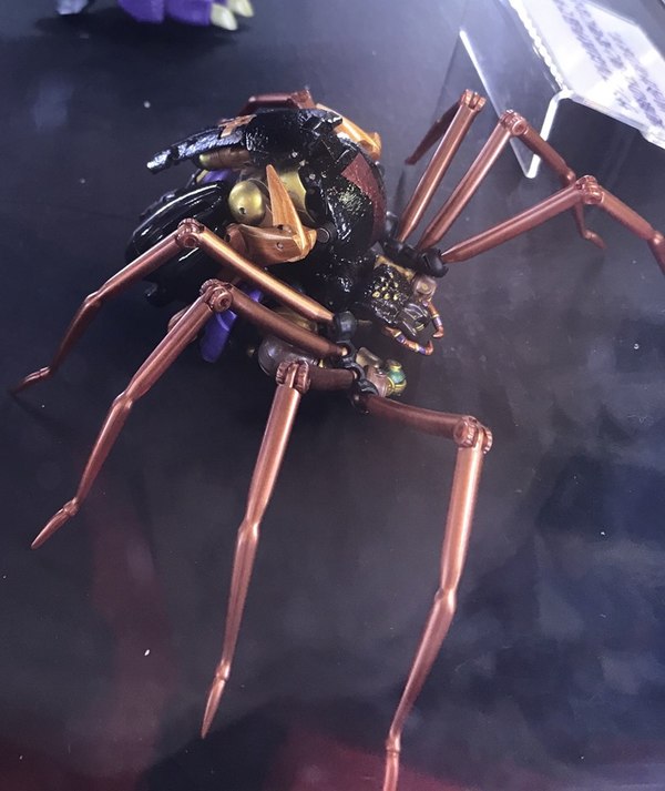 MP 46 Blackarachnia First Look At Beast Mode  (2 of 2)